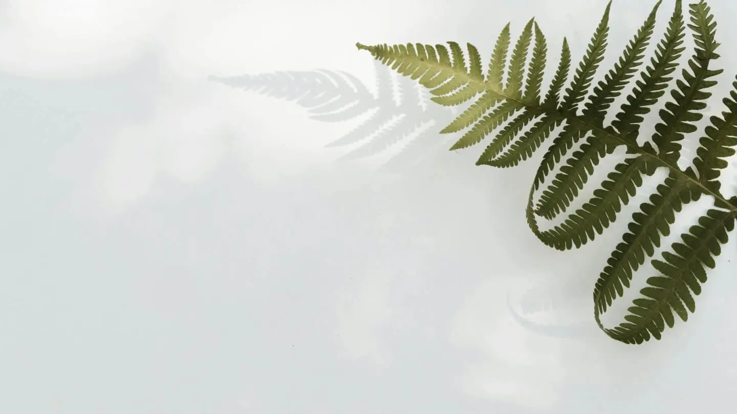 The Future of Renewable Energy: Innovations and Challenges Ahead